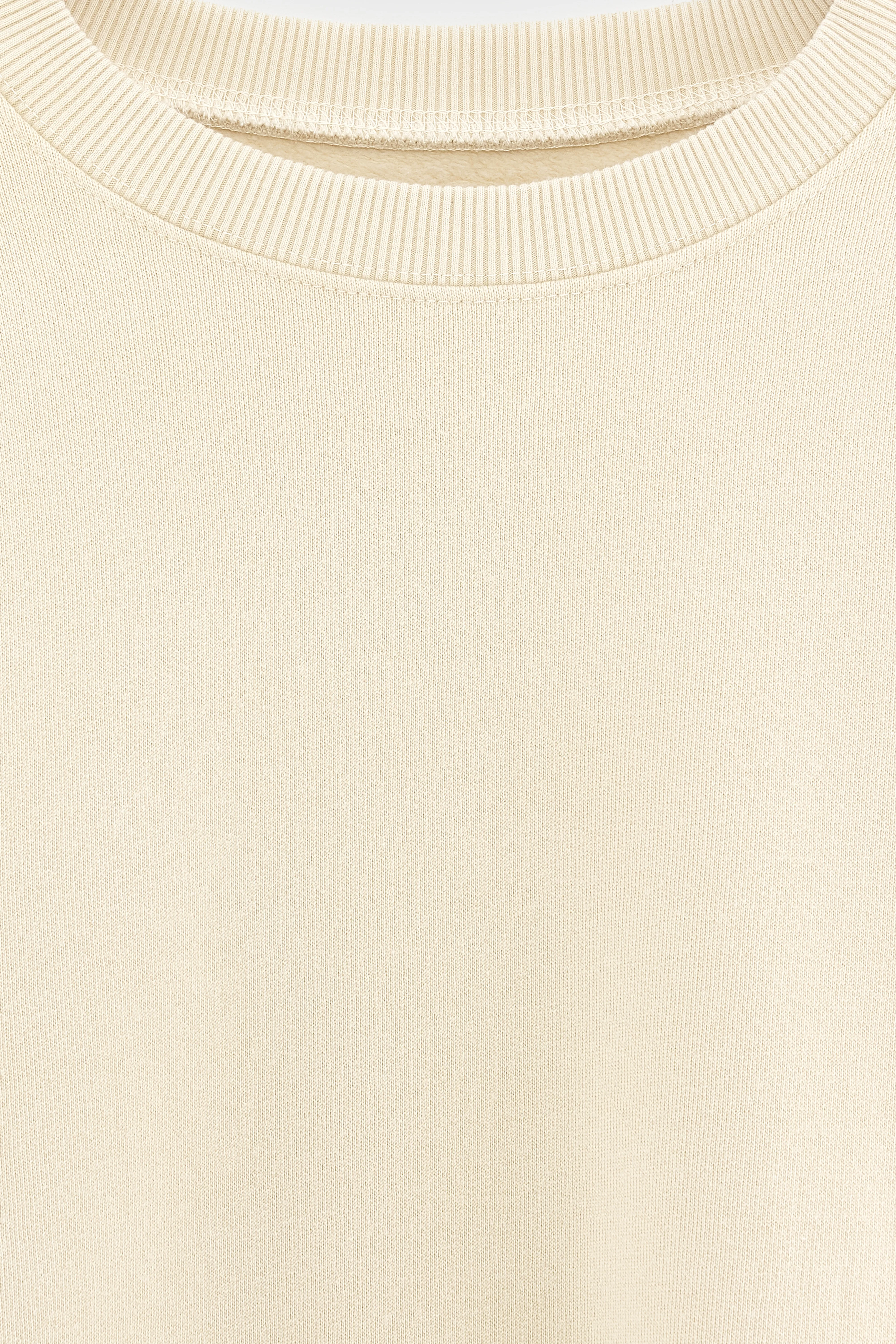 Chami crewneck sweatshirt (252 / B / SUGARCANE) - Image 3