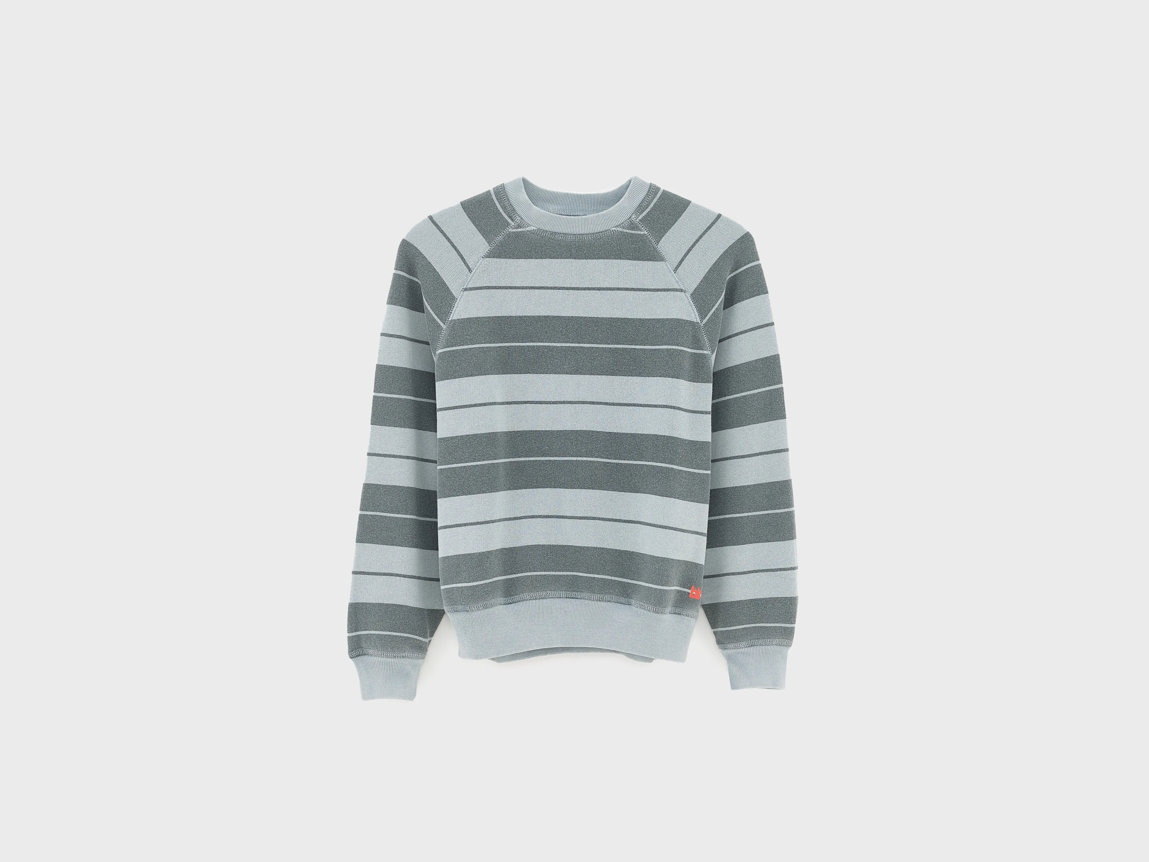 Fagolo crewneck sweatshirt (261 / B / STRIPE B)
