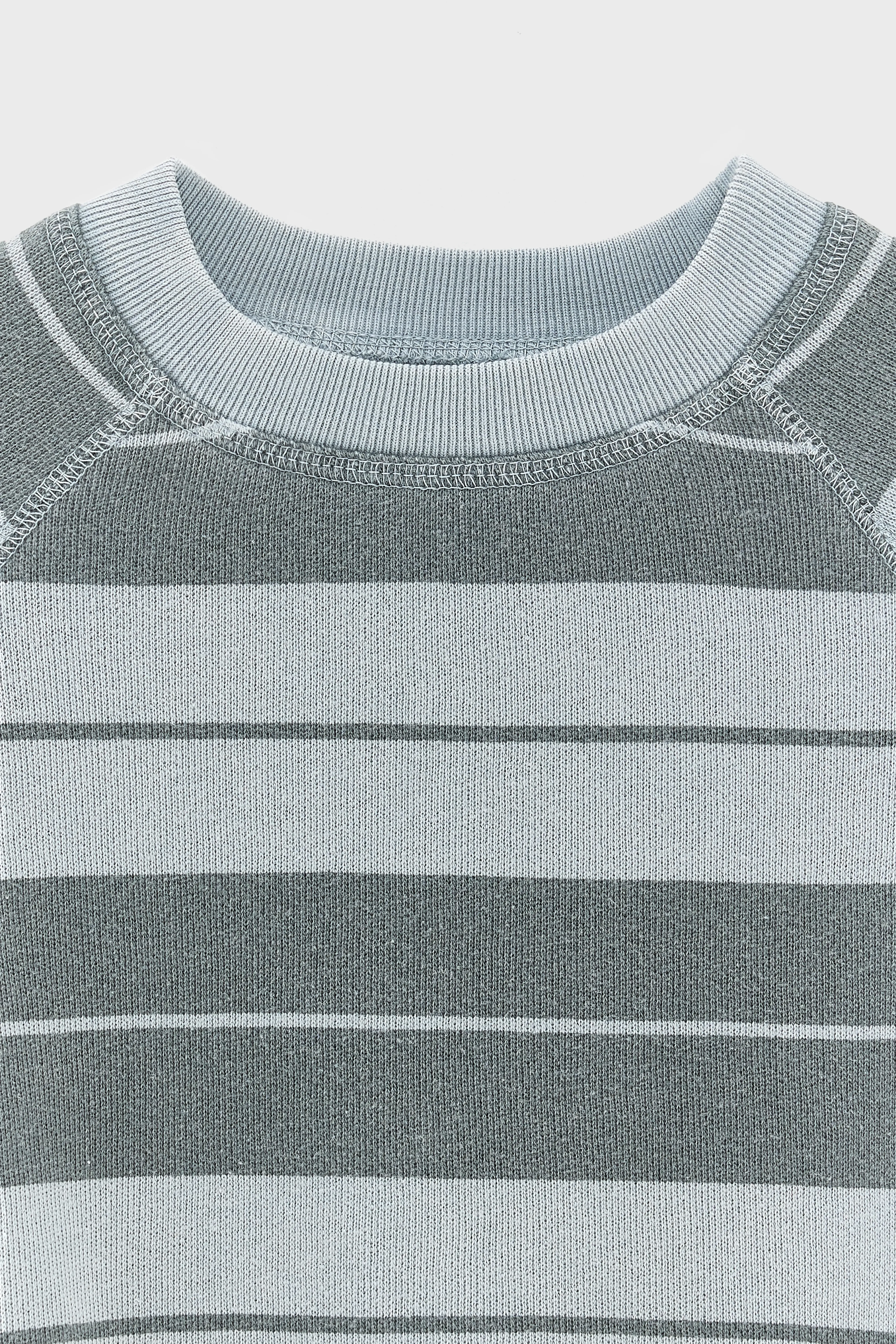 Fagolo crewneck sweatshirt (261 / B / STRIPE B) - Image 5