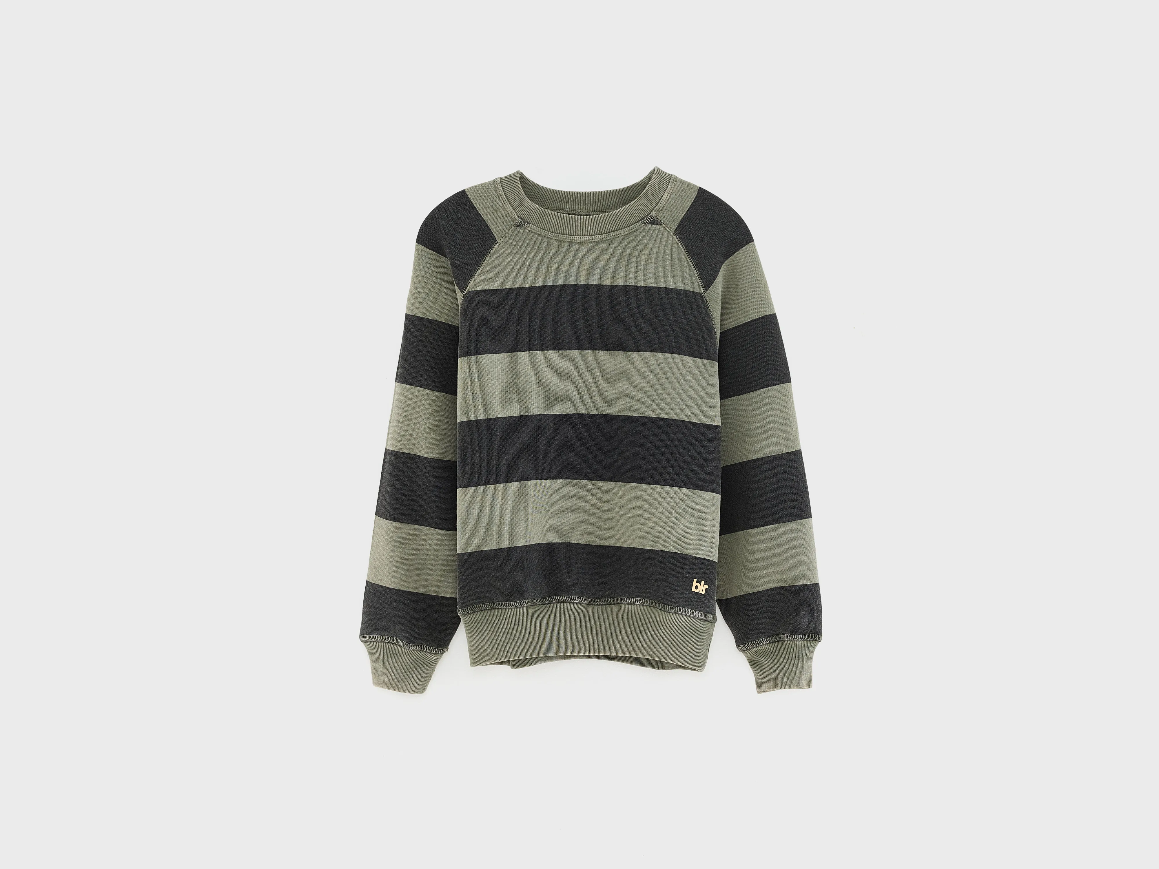 Fagolo crewneck sweatshirt (252 / B / STRIPE D)