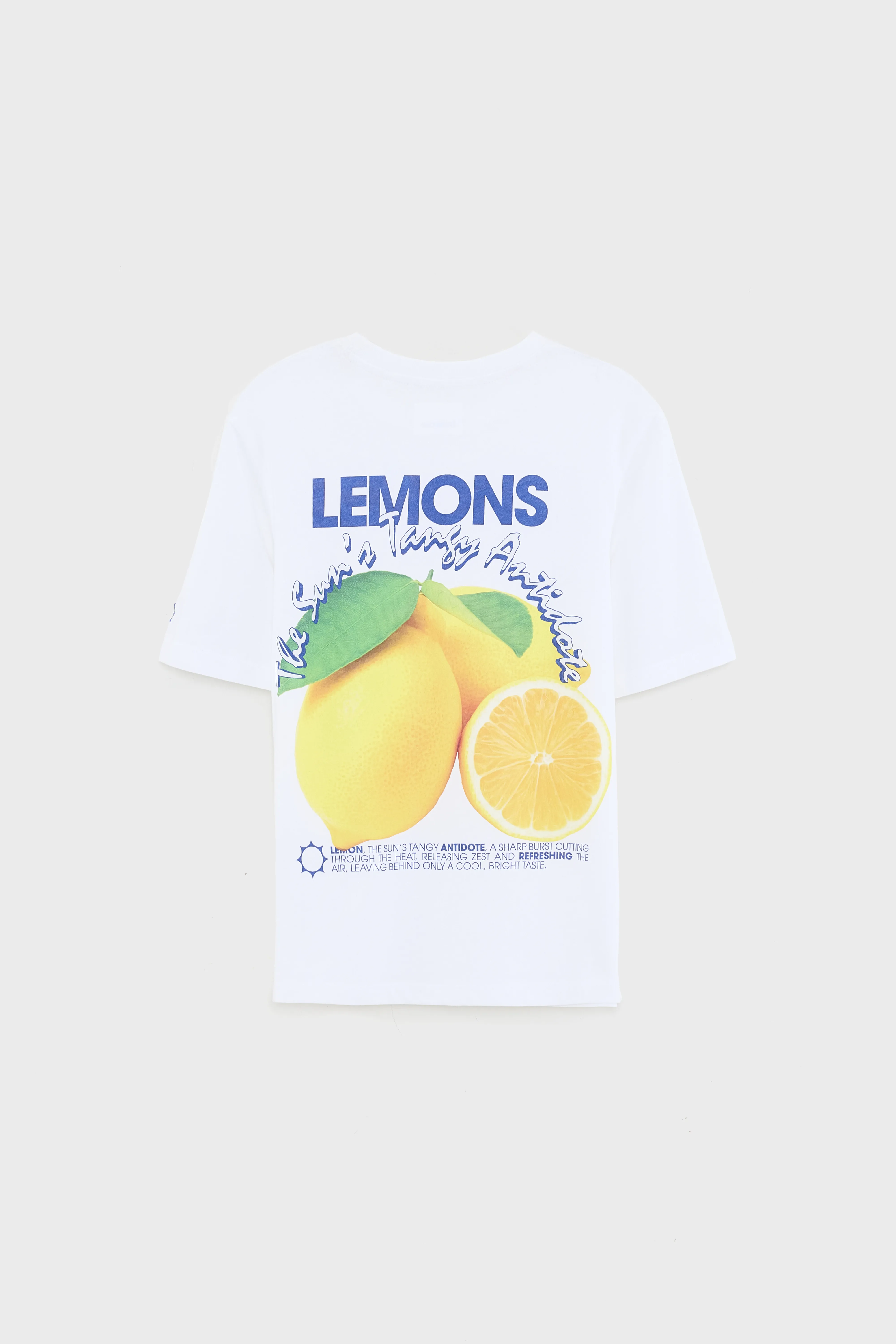 Kenny short-sleeve t-shirt (261 / B / WHITE) - Image 3
