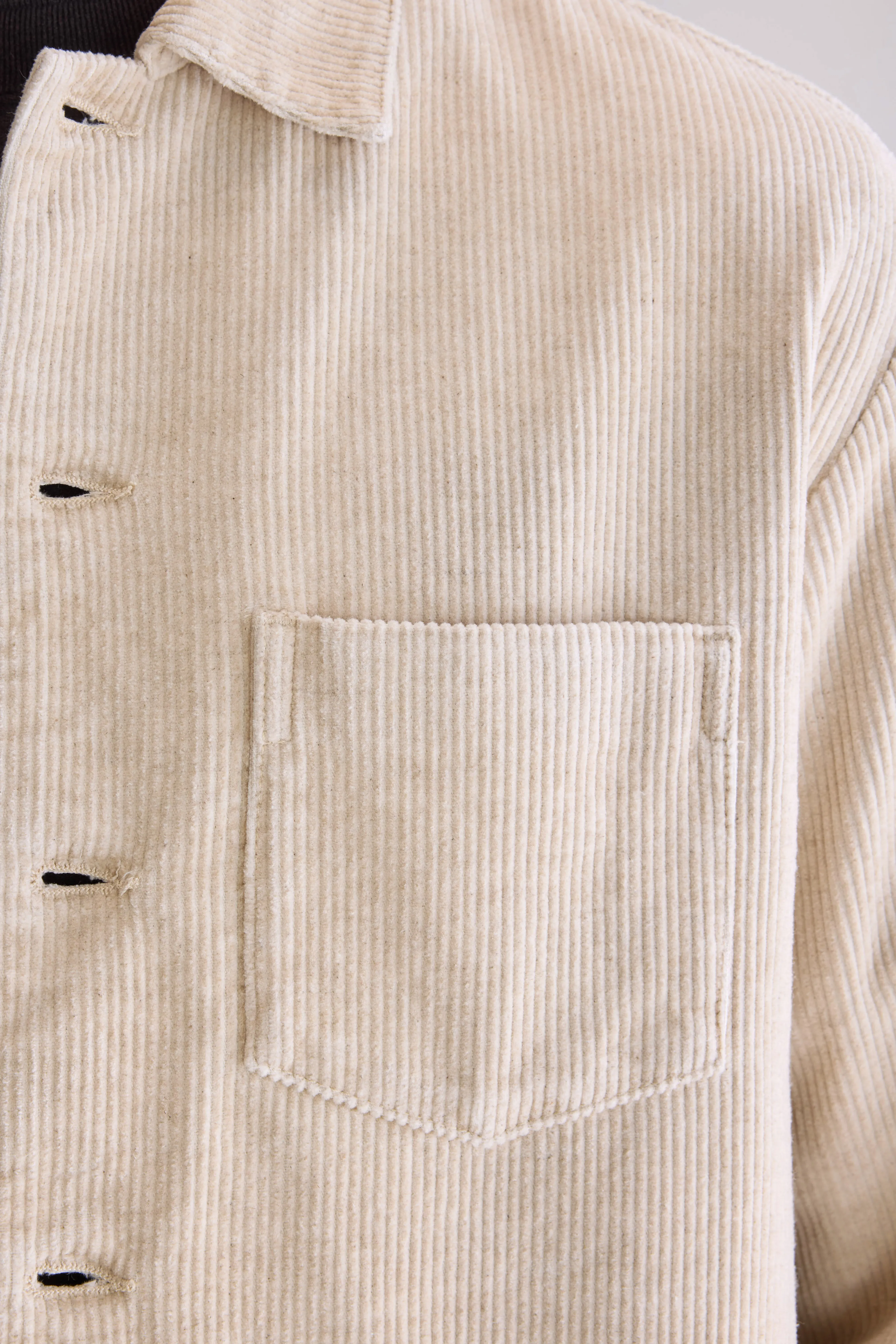 Goney corduroy overshirt (252 / M / CALCAIRE) - Image 5