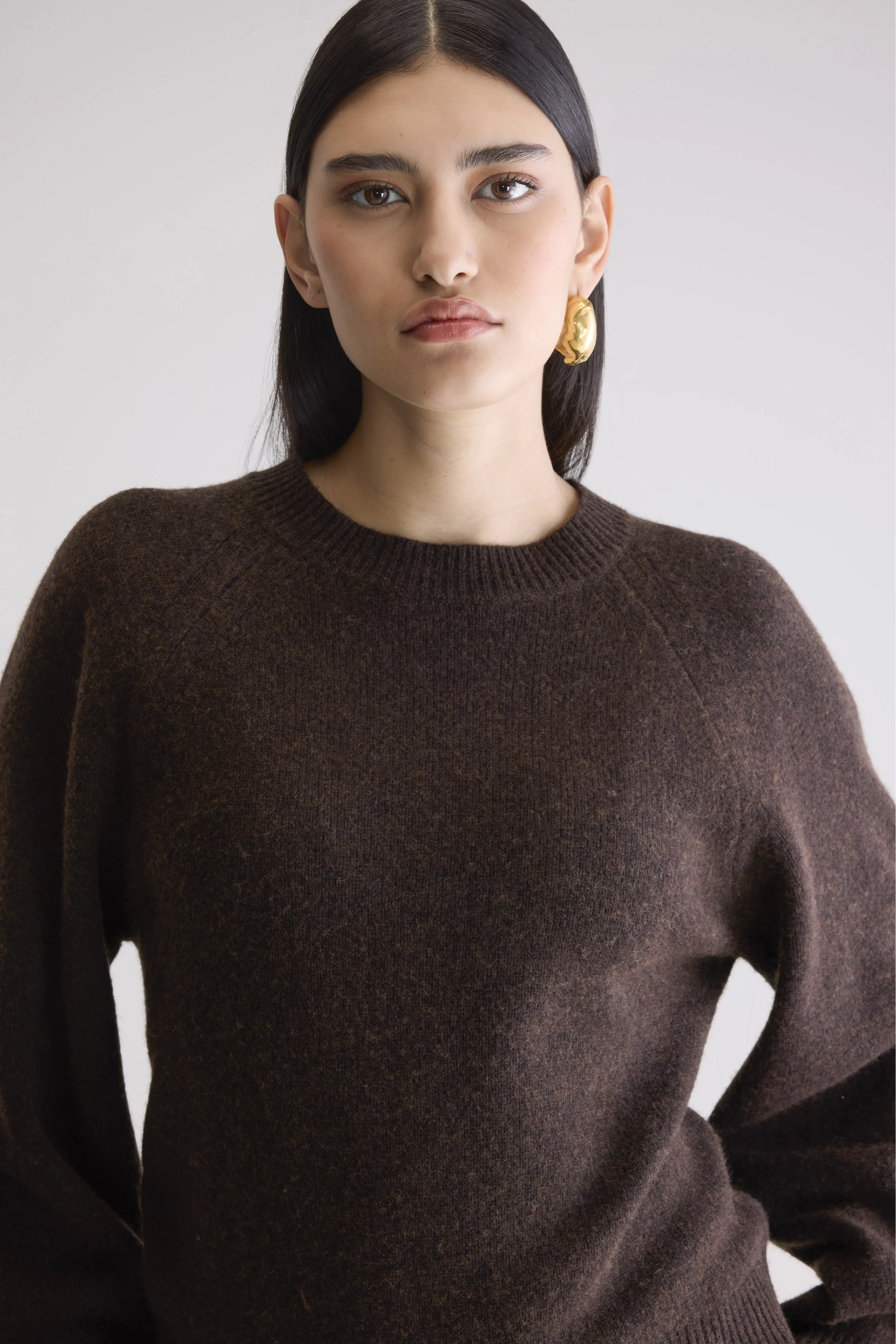 Ameka Crewneck Sweater (252 / W / DARK ROAST) - Image 5