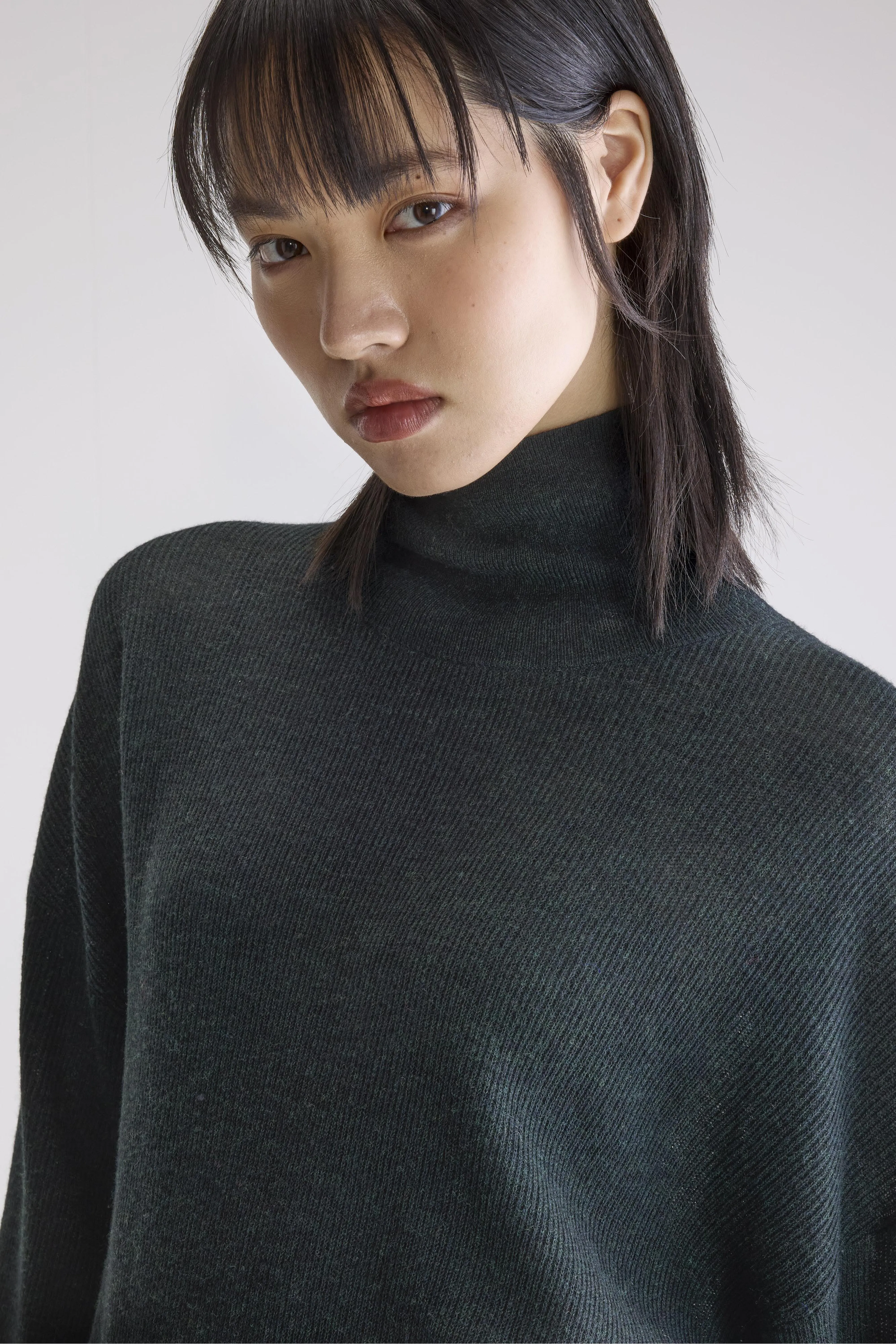Arybol Turtle Neck Sweater (252 / W / JET SET) - Image 5