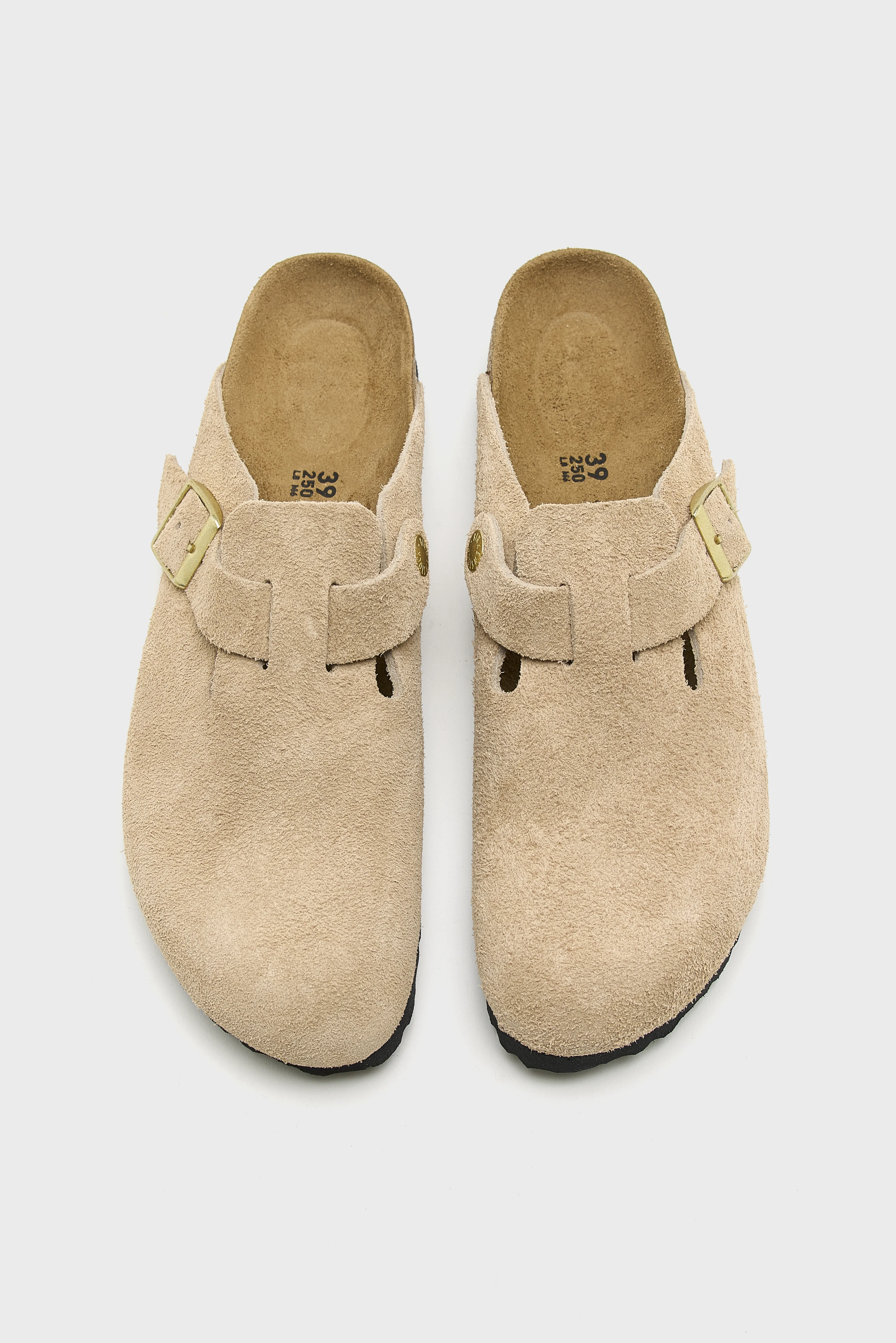 Boston BS Suede for Women (252 / M / BEIGE) - Image 4