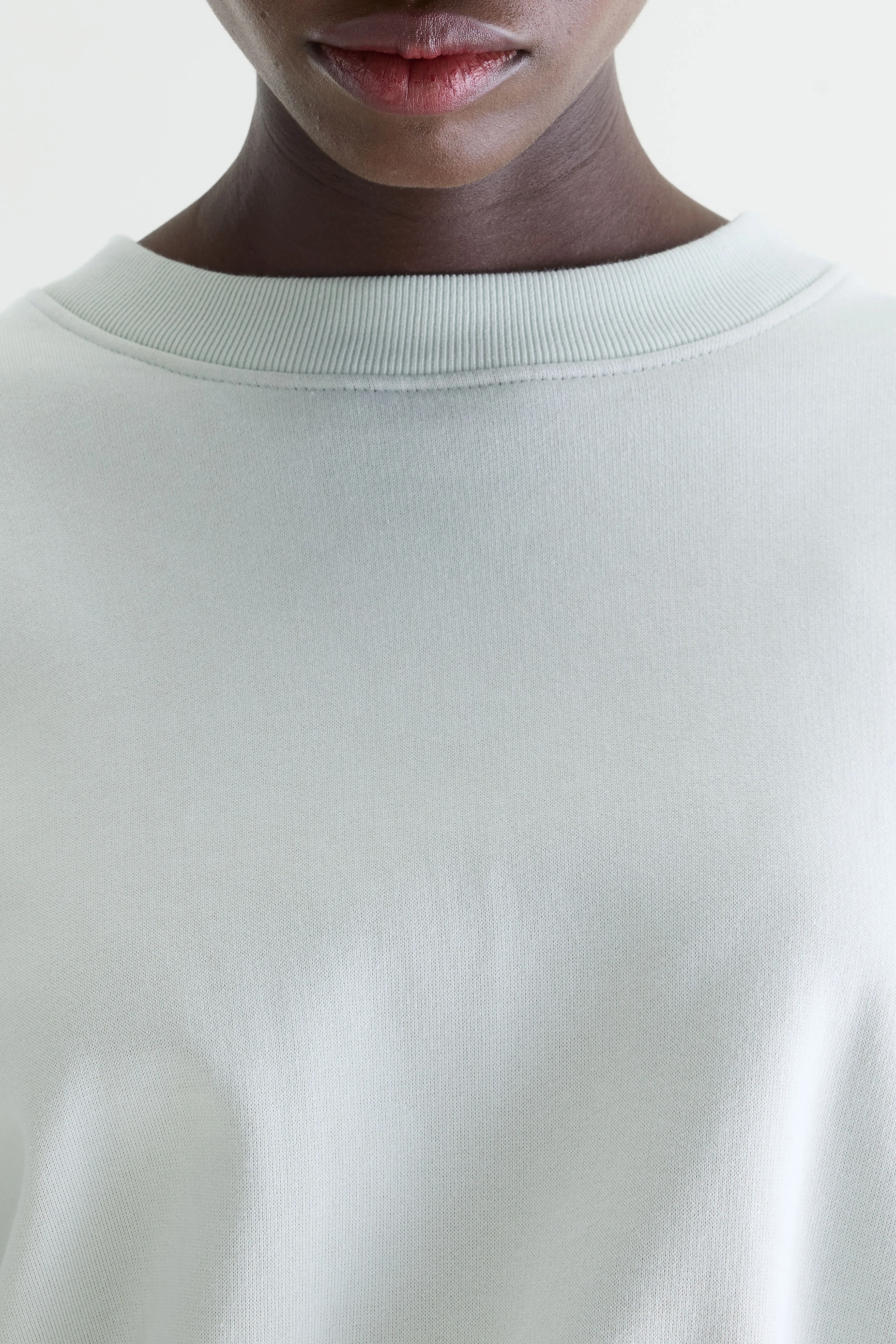 Fancy cropped crewneck sweatshirt (261 / W / AGUA VERDE) - Image 5