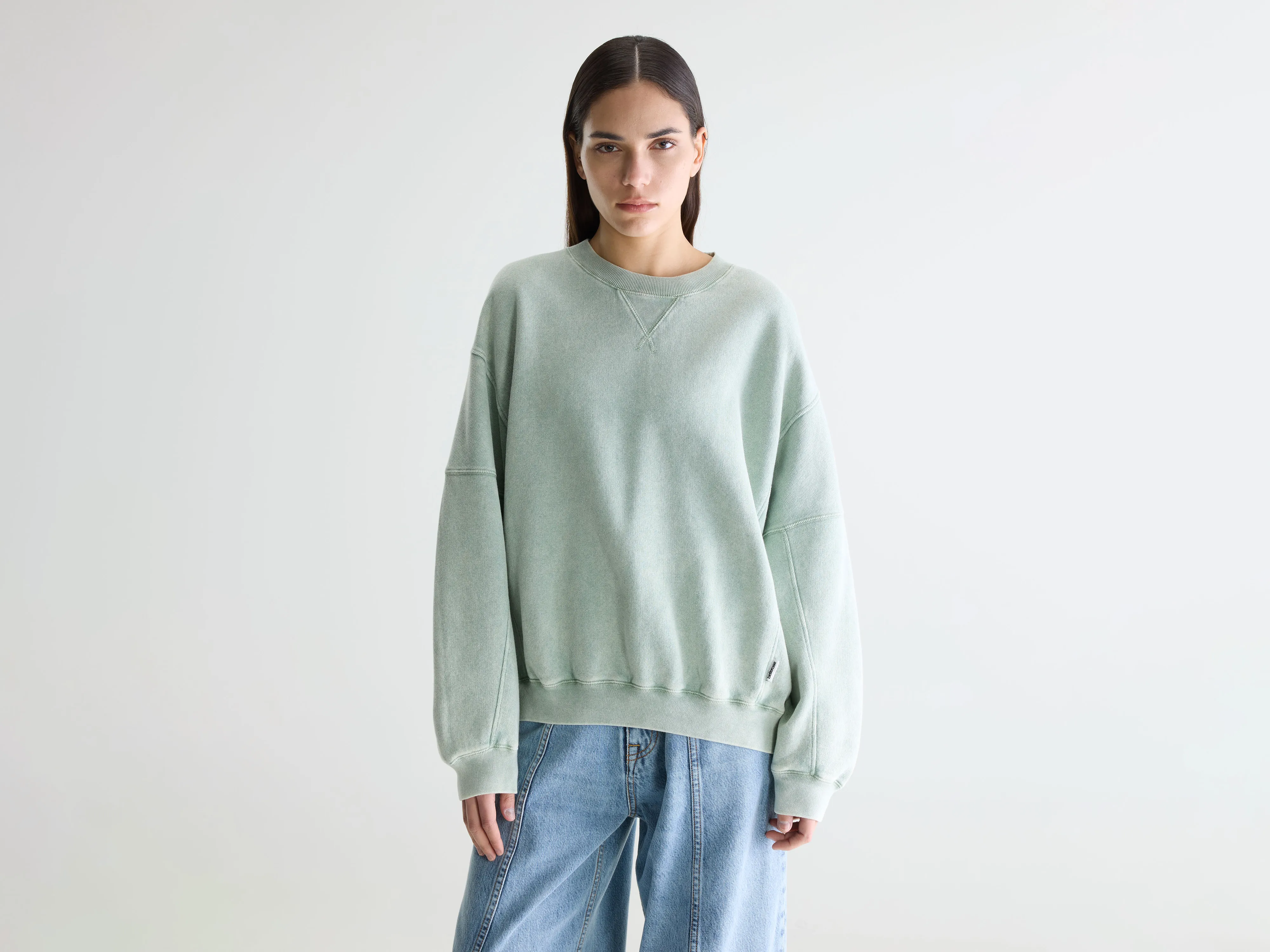 Flips crewneck sweatshirt (261 / W / JADEITE)